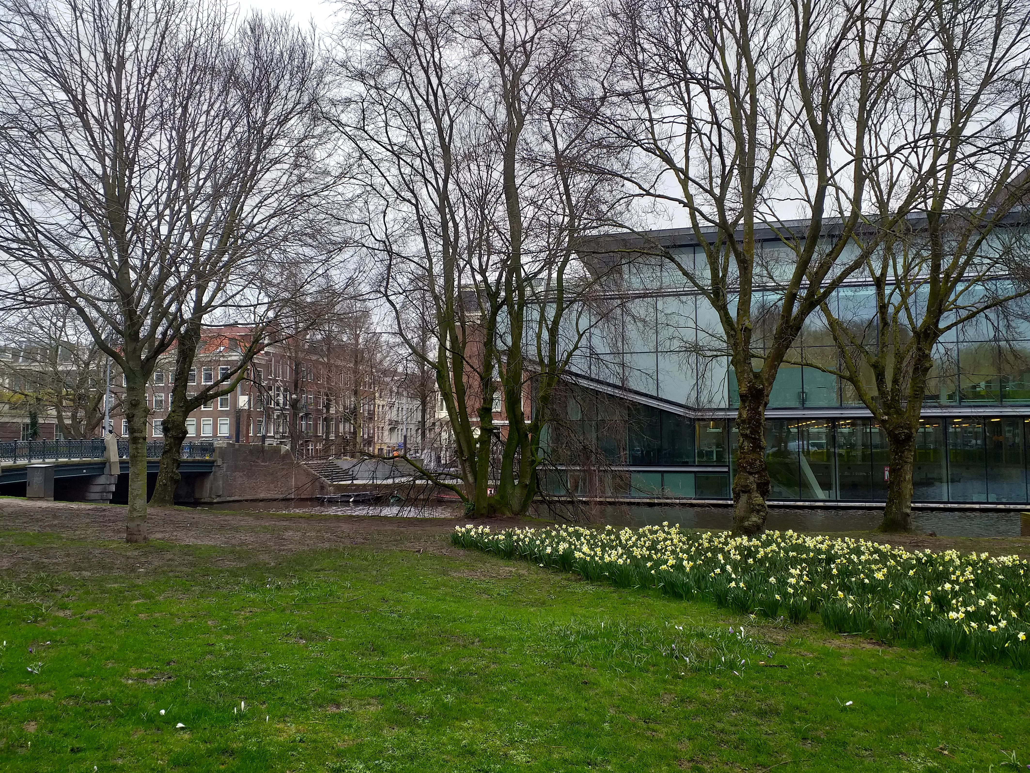 De Amsterdamse grachten in de lente met bloeiende bomen aan de Prinsengracht en zonnige huisgevels