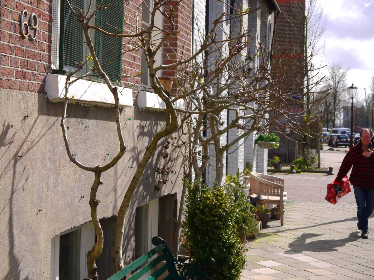 Zonnige straat Ruysdaelkade in De Pijp Amsterdam met wandelaars langs geveltuinen en grachtenpanden in het voorjaar