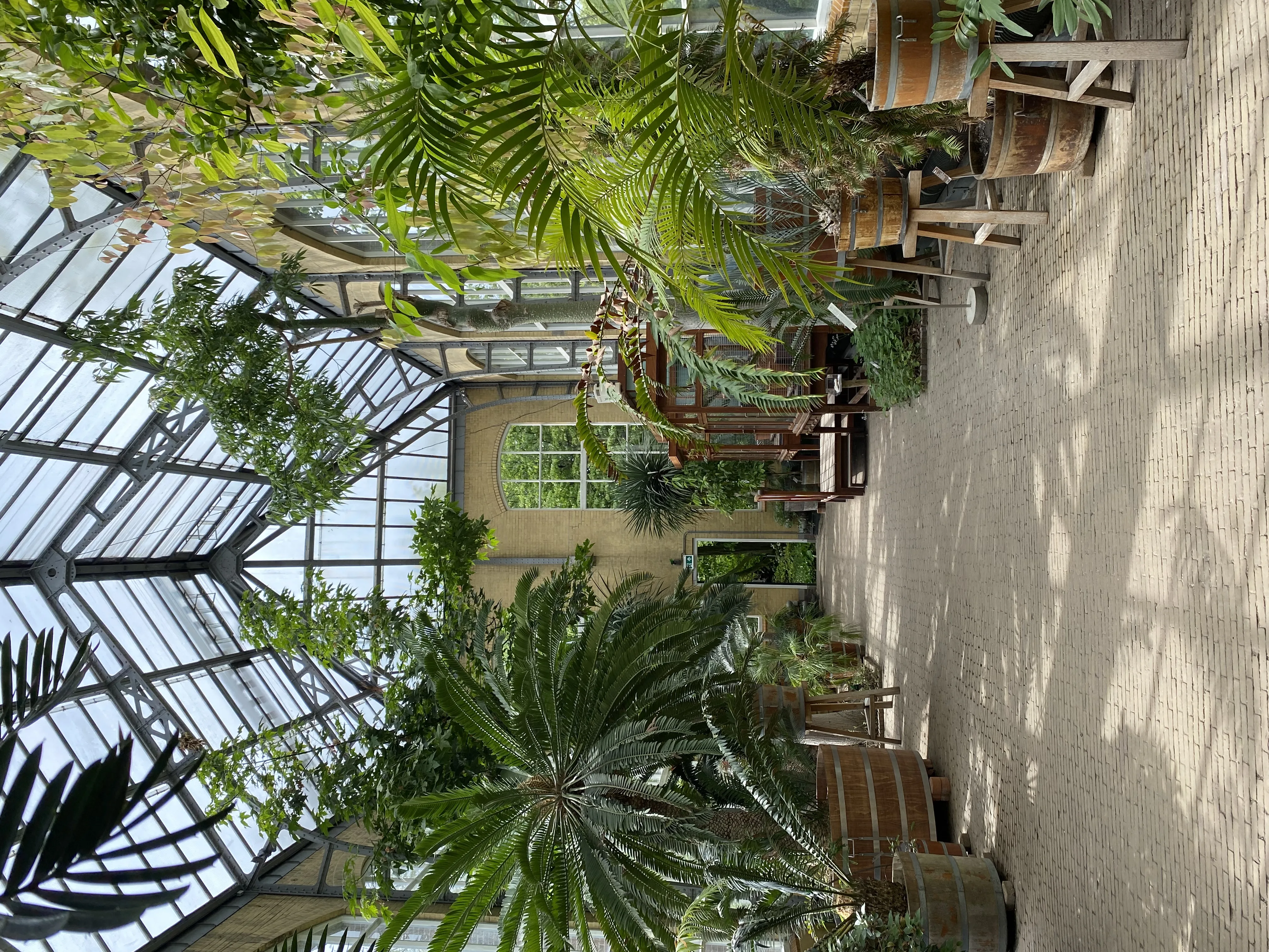 Het negentiende-eeuwse glazen palmhuis van de Hortus Botanicus Amsterdam omgeven door groene tuinen