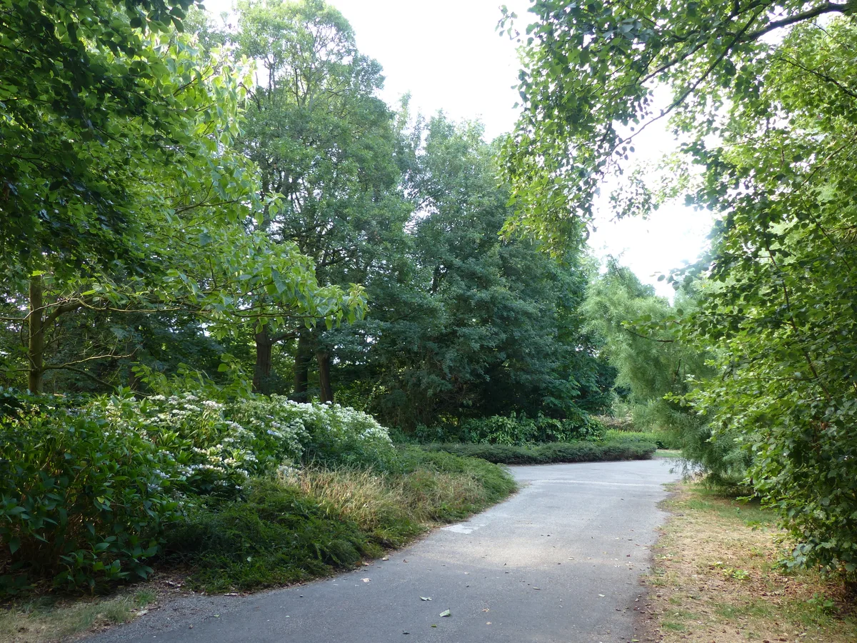 Het Oosterpark in Amsterdam-Oost met vijver, paden en groene bomen, een rustig stadspark in een diverse wijk